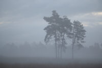 IMG_4680